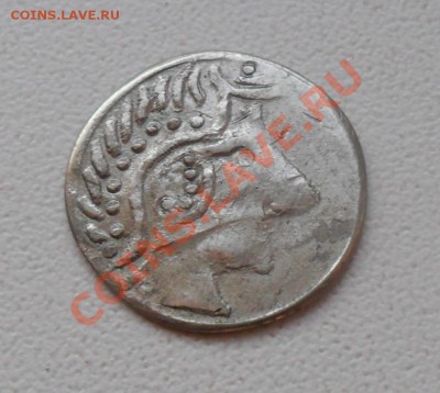 Дирхем. Орда. до 23.12.11 в 22.00 мск - SAM_7128.JPG
