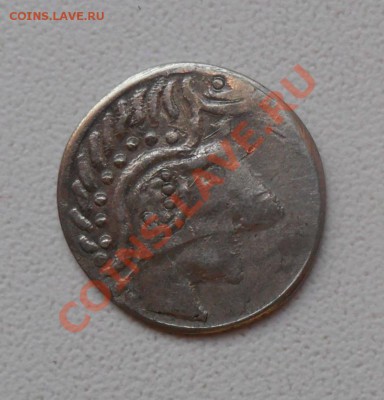 Дирхем. Орда. до 23.12.11 в 22.00 мск - SAM_7127.JPG