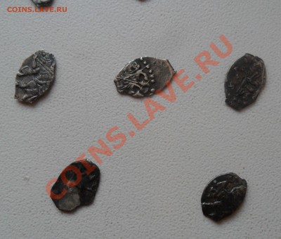 Чешуя Петра. 11 шт. до 23.12.11 в 22.00 мск - SAM_7139.JPG