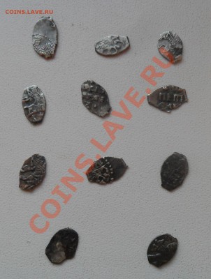 Чешуя Петра. 11 шт. до 23.12.11 в 22.00 мск - SAM_7136.JPG