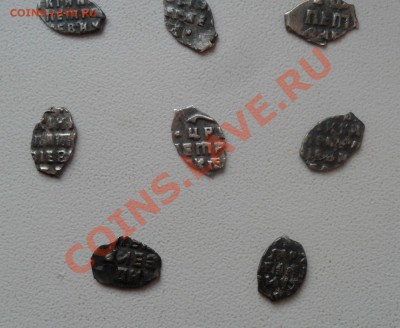 Чешуя Петра. 11 шт. до 23.12.11 в 22.00 мск - SAM_7134.JPG