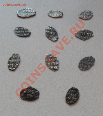 Чешуя Петра. 11 шт. до 23.12.11 в 22.00 мск - SAM_7132.JPG