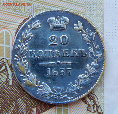 20 копеек 1837 г. СПБ НГ. Николай I. - DSCN6143.JPG