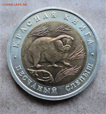 50 рублей 1994 г. Песчаный слепыш  до 13.05. - DSC05177.JPG