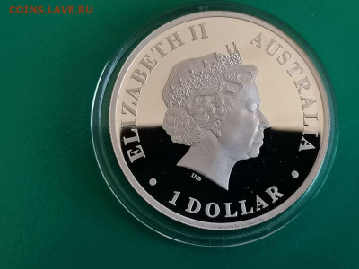 1 доллар 2012 Австралия - Китовая акула, Ag999, до 18.05 - ЯЯ Открой Акула-2