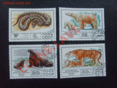 Фауна, флора, искусство, техника - всё по 10 рублей. - S5000009_thumb