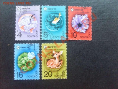 Фауна, флора, искусство, техника - всё по 10 рублей. - S5000019_thumb