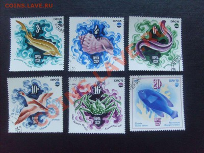 Фауна, флора, искусство, техника - всё по 10 рублей. - S5000021_thumb