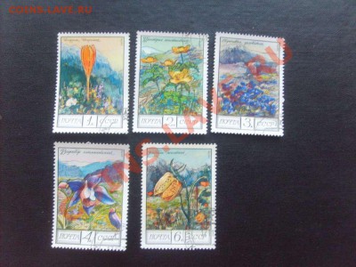 Фауна, флора, искусство, техника - всё по 10 рублей. - S5000029_thumb