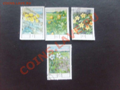 Фауна, флора, искусство, техника - всё по 10 рублей. - S5000030_thumb