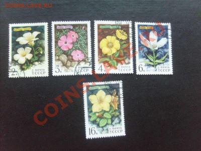 Фауна, флора, искусство, техника - всё по 10 рублей. - S5000031_thumb