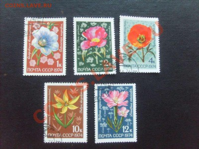 Фауна, флора, искусство, техника - всё по 10 рублей. - S5000032_thumb
