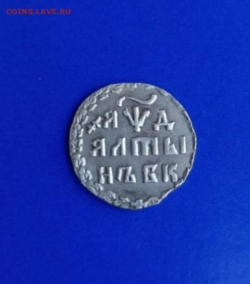 алтын 1704 год предпродажная оценка - IMG_20230515_195948