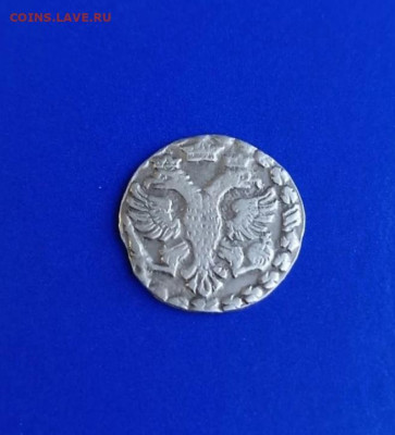 алтын 1704 год предпродажная оценка - IMG_20230515_195923