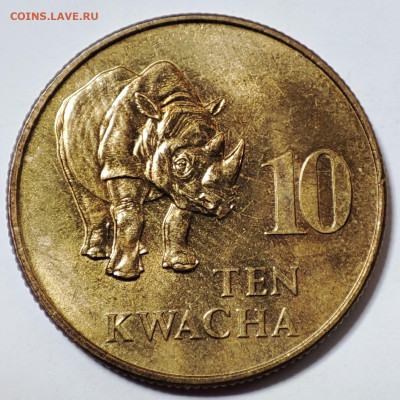 Замбия 10 квач 1992 №2 до 22.05.2023 в 22.00 - Замбия 10 квач 1992 №2