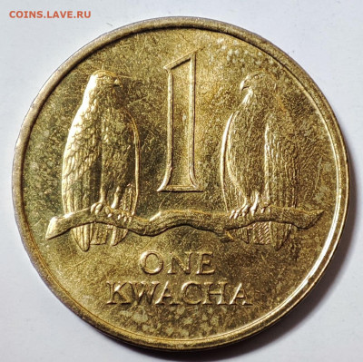 Замбия 1 квача 1992 до 22.05.2023 в 22.00 - Замбия 1 квача 1992