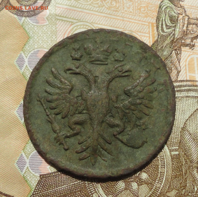 Денга 1731 года перечекан. До 25.05.23. - DSC05265.JPG