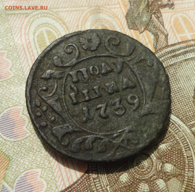 Полушка 1739 года. До 25.05.23. - DSC05325.JPG