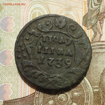 Полушка 1739 года. До 25.05.23. - DSC05323.JPG