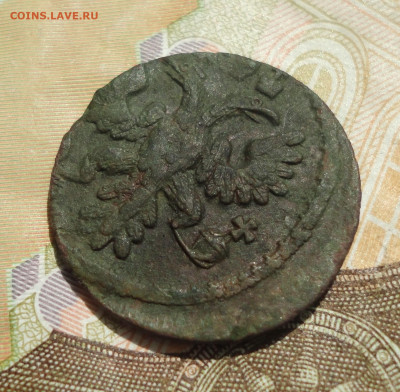 Полушка 1735 года. До 25.05.23. - DSC05305.JPG