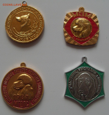 шт - SDC16864.JPG
