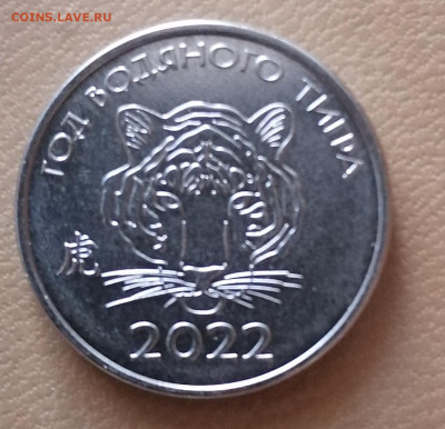 1 руб Приднестровья- год водяного тигра 21.05.23 - IMG_20230517_060846