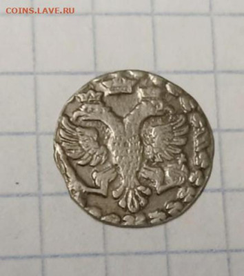алтын 1704 год предпродажная оценка - IMG_20230517_074926