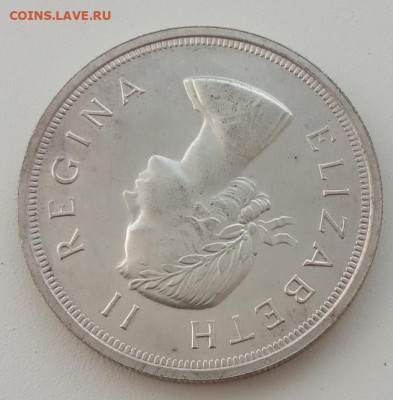 ЮАР 5 шиллингов 1953 до 21.05.23 в 22-00. - IMG_20230517_175038