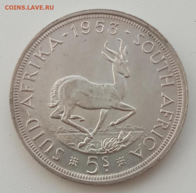 ЮАР 5 шиллингов 1953 до 21.05.23 в 22-00. - IMG_20230517_175009