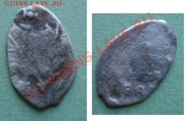 Разные чешуйки - 4.JPG