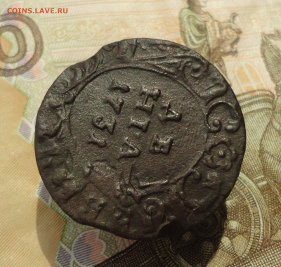 Денга 1731 года без черты перечекан. До 25.05.23. - DSC05367.JPG