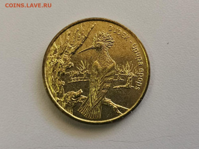 2 злотых Польша 2000, Удод, до 27.05 - 2000 Удод-1