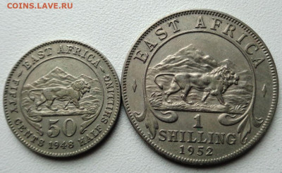Восточная Африка 1 шиллинг 1952 года и 50 центов 1948 года - DSC00441.JPG