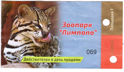 БИЛЕТ  Зоопарк Лимпопо до 29.05.23 г. в 23.00 - 072