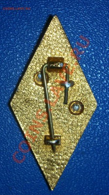 викторина сегодня в 16.00 - фото_3