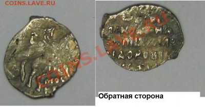 2 чешуйки Михал федоровича на оценку и определение . - Первая чешуйка.JPG