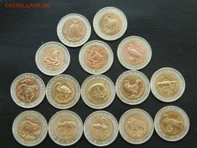 Набор Красная книга 1991-1994 до 28.05.2023. в 22:00 - DSCN0081.JPG