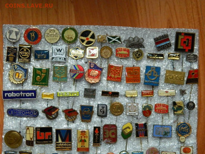 разные т.м.(4)  до 31.05.2023. в 22:00 - DSCN0183.JPG