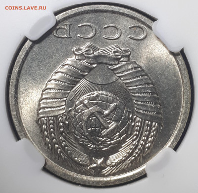  Мешковые.  Короткий. Блиц - 20230527_162954