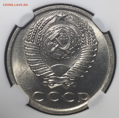  Мешковые.  Короткий. Блиц - 20230527_162932