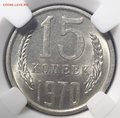  Мешковые.  Короткий. Блиц - 20230527_162820