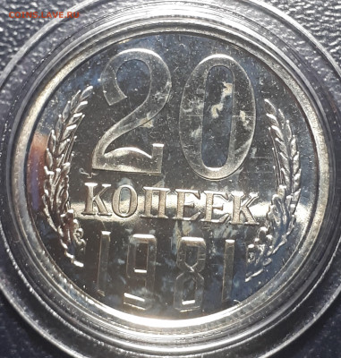 20 копеек 1981 BUNC  31.05.23 в 22.00 - 20221225_233514