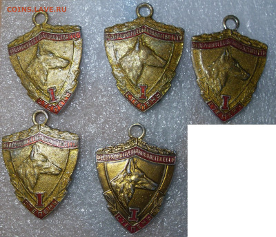 шт - SDC16715.JPG