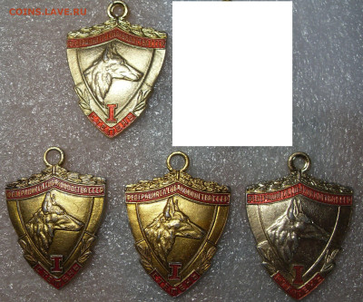шт - SDC16720.JPG