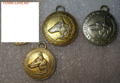 шт - SDC16731.JPG