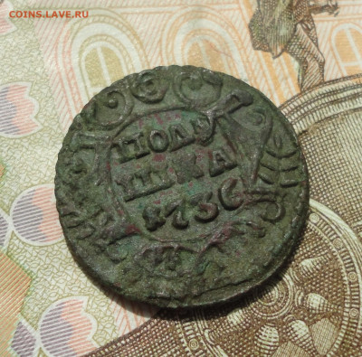 Полушка 1736 года.  До 31.05.23. - DSC05320.JPG