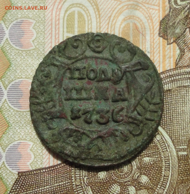 Полушка 1736 года.  До 31.05.23. - DSC05318.JPG