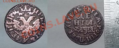 Денга 1704 года. - Денга.JPG