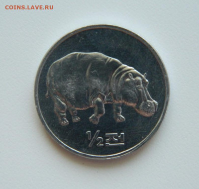 2 чон 2002 г.(Юбилейная)Бегемот до 05.06.23 - DSCN2636.JPG