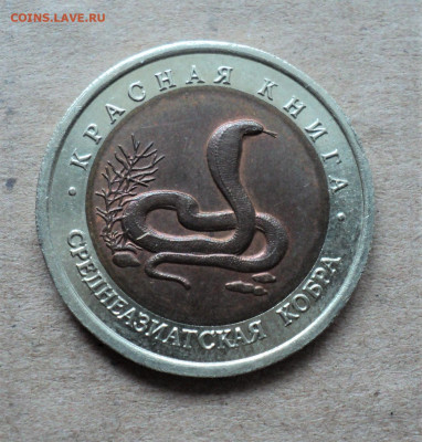 10 руб. 1992 г. Среднеазиатская кобра. до 5.06. - DSC05212.JPG